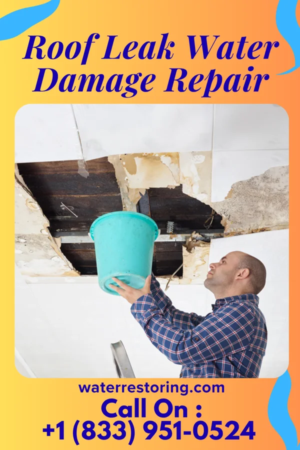 Roof Leak Water Damage Repair in Kit Carson, CO
